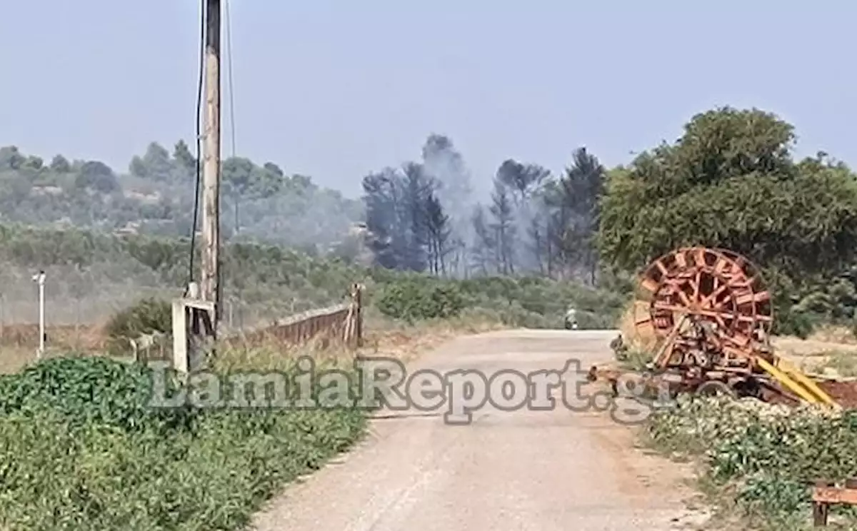 Φωτιά στις Λιβανάτες Φθιώτιδας: Ισχυρή κινητοποίηση της Πυροσβεστικής 