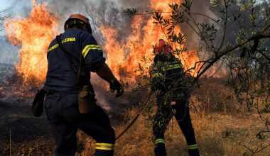 Πυροσβεστική: 16 οι πυρκαγιές που ξέσπασαν το τελευταίο 24ωρο στη χώρα – Μία σύλληψη