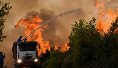 Πυροσβεστική: Σε ένα 24ωρο εκδηλώθηκαν 22 αγροτοδασικές πυρκαγιές ανά την επικράτεια