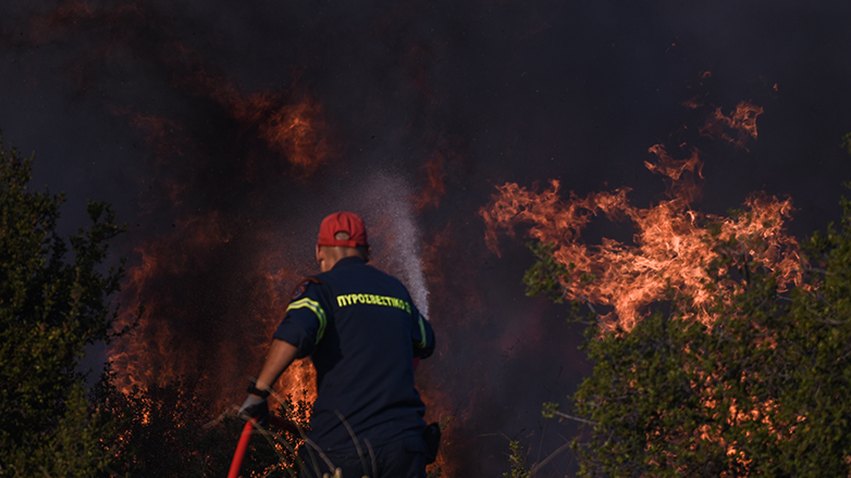 Ξάνθη: Πυρκαγιά σε δασική έκταση στην περιοχή Τοξότες – Επιχειρούν επίγειες και εναέριες δυνάμεις της πυροσβεστικής