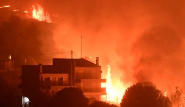 Μεγάλη καλλιτεχνική εκδήλωση στο Καλέντζι: Τα έσοδα θα δοθούν για την αποκατάσταση των καταστροφών της μεγάλης πυρκαγιάς