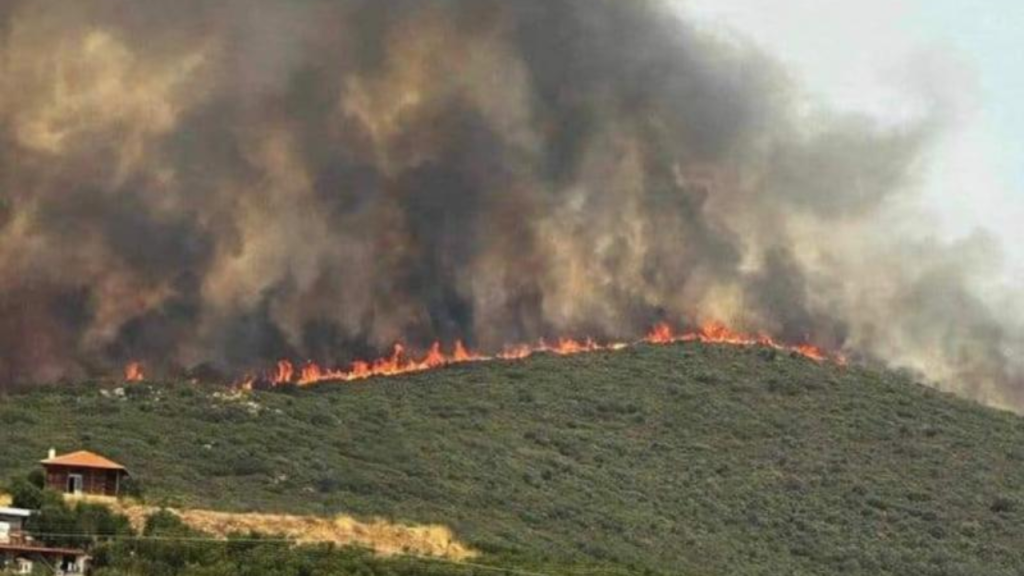 Απαγόρευση κυκλοφορίας το Σάββατο στην Χαλκιδική λόγω υψηλού κινδύνου πυρκαγιάς