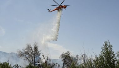 Πυρκαγιά ξέσπασε σε δασική έκταση στη Ρόδο