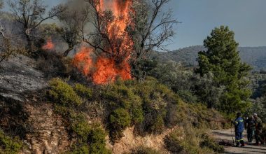 Πυροσβεστική: 31 οι φωτιές που ξέσπασαν το τελευταίο 24ωρο στη χώρα