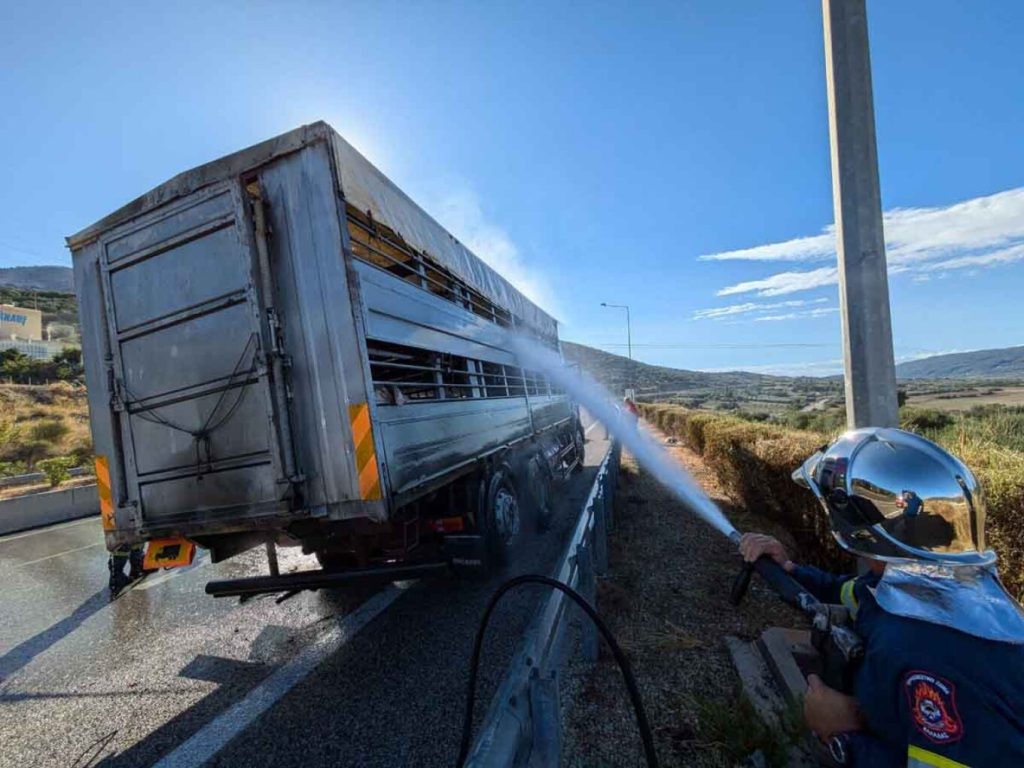 Αμφιλοχία: Φωτιά ξέσπασε σε νταλίκα που μετέφερε ζώα στην Ιόνια οδό (φωτο)