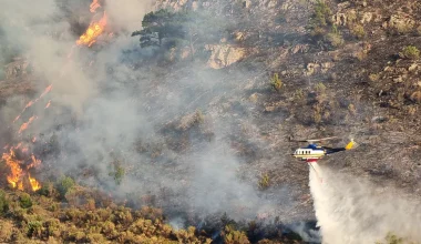 Πυροσβεστική: Σε ένα 24ωρο εκδηλώθηκαν 26 δασικές πυρκαγιές ανά την επικράτεια