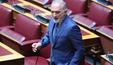 Μ.Σαλμάς: «Ξέρει κανείς να μου πει για ποιο λόγο διαγράφηκα; – Είναι αντισυνταγματική η απόφαση»