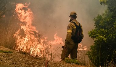 Πυροσβεστική: Σε ένα 24ωρο εκδηλώθηκαν 25 αγροτοδασικές πυρκαγιές ανά την επικράτεια