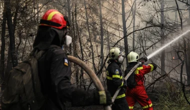 Πυροσβεστική: Σε ένα 24ωρο εκδηλώθηκαν 23 πυρκαγιές σε όλη την χώρα