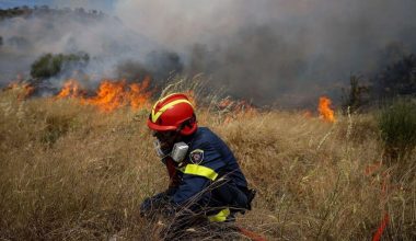 Πυροσβεστική: Εκδηλώθηκαν 29 αγροτοδασικές πυρκαγιές σε ένα 24ωρο ανά την επικράτεια