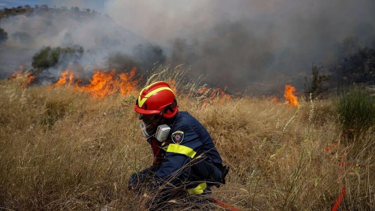 Πυροσβεστική: Εκδηλώθηκαν 29 αγροτοδασικές πυρκαγιές σε ένα 24ωρο ανά την επικράτεια