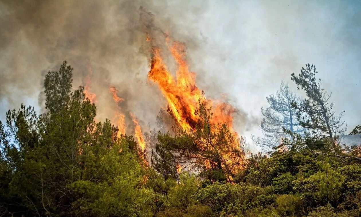 Πυροσβεστική: 51 οι πυρκαγιές που ξέσπασαν το τελευταίο 24ωρο στη χώρα