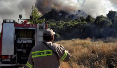 Ηλεία: Φωτιά στην Αμαλιάδα – Μήνυμα του 112 για εκκένωση στο χωριό Γεράκι