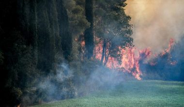 Ηλεία: Καλύτερη η εικόνα της φωτιάς στο Γεράκι Αμαλιάδας – Στη «μάχη» και η βροχή