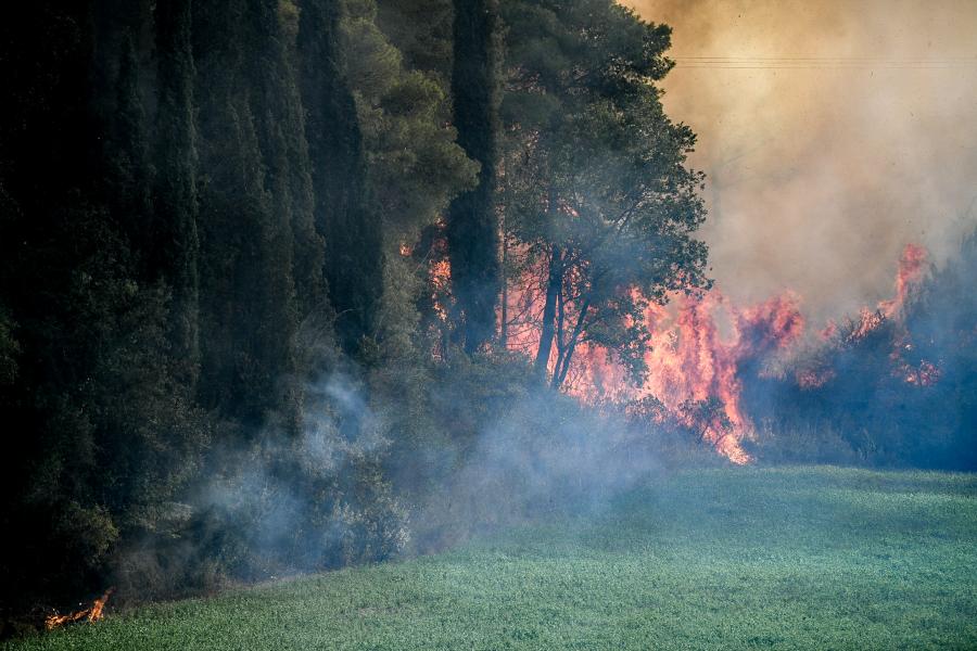 Ηλεία: Καλύτερη η εικόνα της φωτιάς στο Γεράκι Αμαλιάδας – Στη «μάχη» και η βροχή