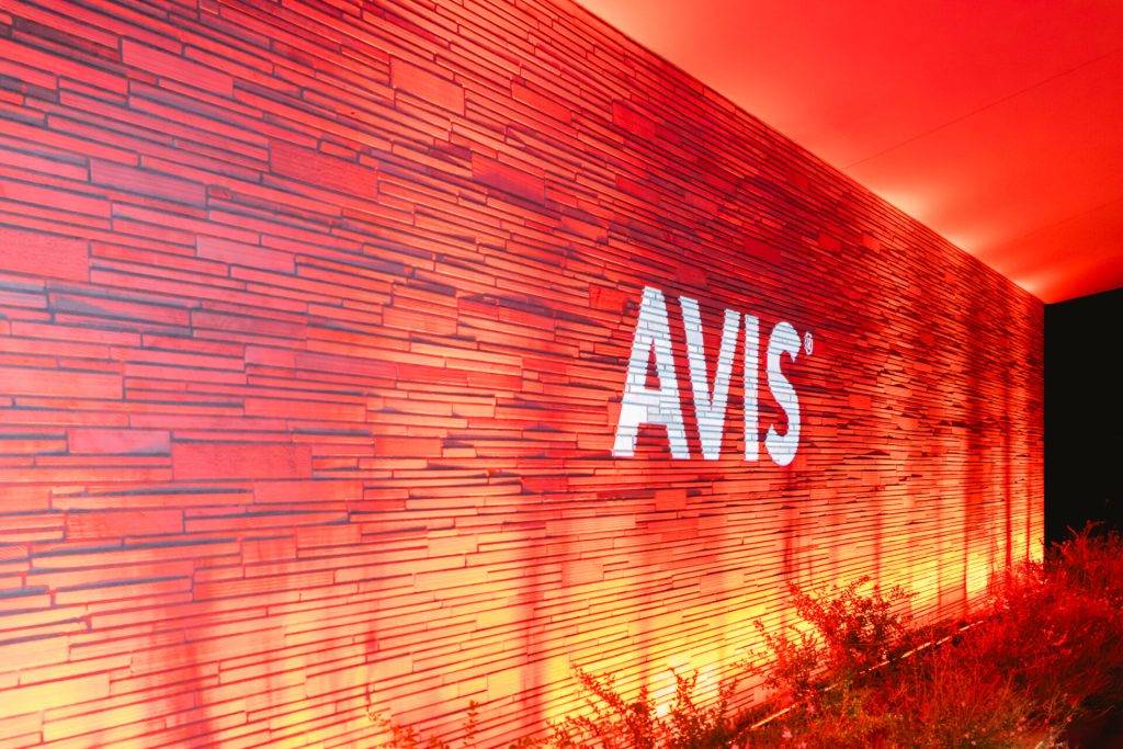 Avis: Γιόρτασε τα 10 χρόνια της με τον Κωνσταντίνο Αργυρό