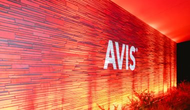 Avis: Γιόρτασε τα 10 χρόνια της με τον Κωνσταντίνο Αργυρό