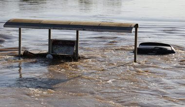 Έλληνες και κομματικά στελέχη της ΝΔ οι «Ολλανδοί ειδικοί» που πληρώθηκαν αδρά για την «μελέτη διάσωσης της Θεσσαλίας»!