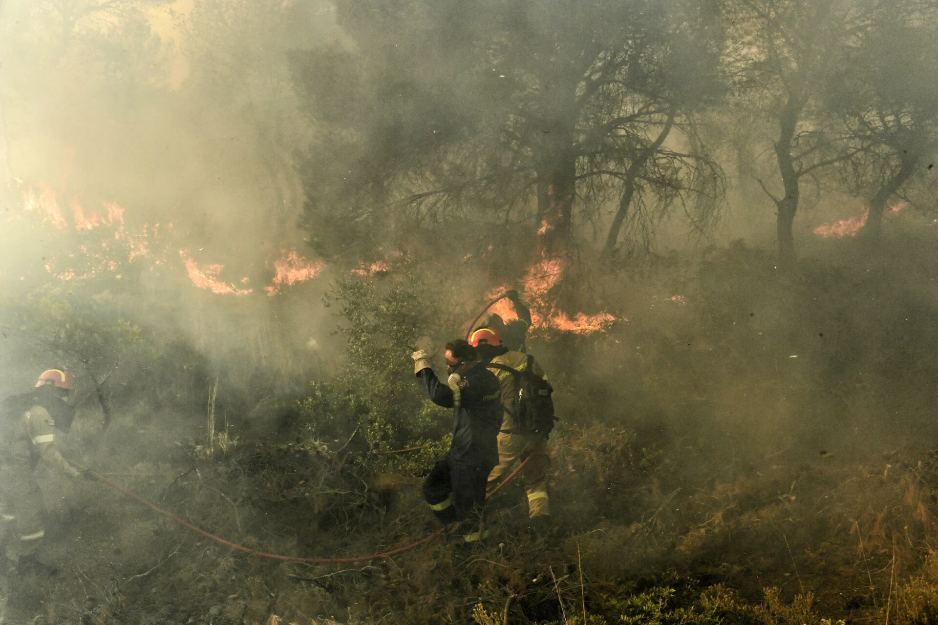 Φωτιά στην περιοχή Κοκκινόβραχος Φθιώτιδας: Επιχειρούν εναέρια μέσα