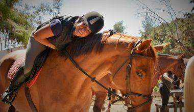 Αυστραλία: Ιππέας έσπευσε να βοηθήσει άλογο που κατέρρευσε στη διάρκεια κούρσας βάζοντας σε κίνδυνο τη ζωή του (βίντεο)