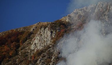 Παγγαίο Όρος: Δασοκομάντος αφαιρούν καύσιμη ύλη από το έδαφος για να εμποδίσουν την εξάπλωση της φωτιάς