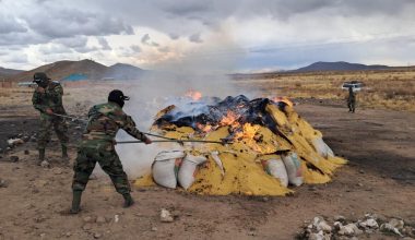 Βολιβία: Οι αρχές κατέστρεψαν 21,6 τόνους κοκαΐνης (βίντεο)