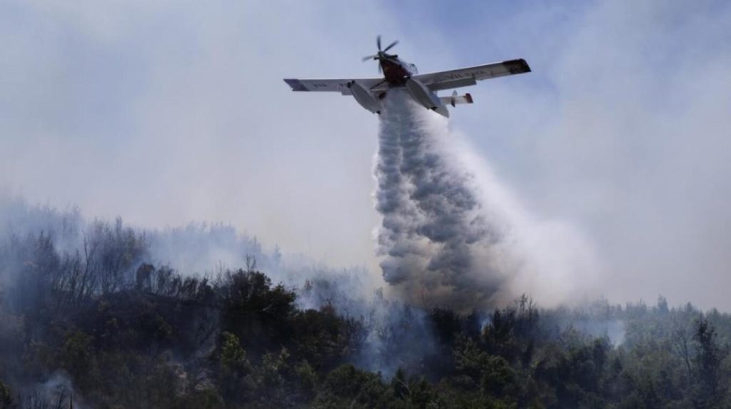 Φωτιά στη Σιθωνία Χαλκιδικής: Ενισχύθηκαν οι πυροσβεστικές δυνάμεις (βίντεο) (upd)