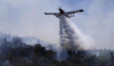 Φωτιά στη Χαλκιδική: Επιχειρούν εναέρια μέσα