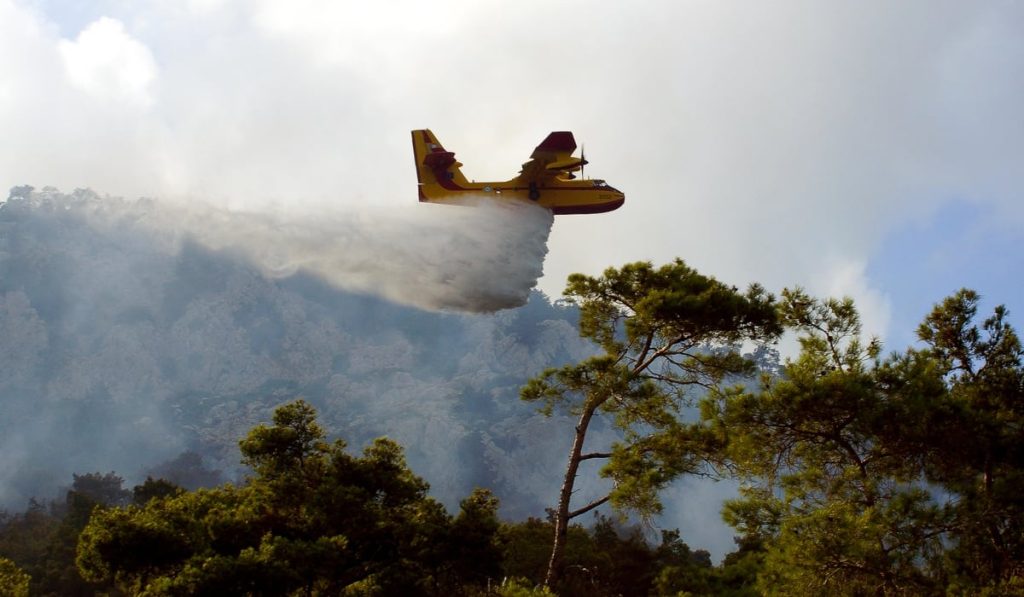 Χαλκιδική: Σε ύφεση η φωτιά στην περιοχή του Μαρμαρά στη Σιθωνία