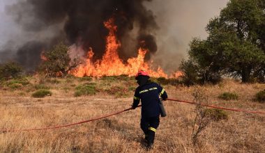 Χαλκιδική: Συνελήφθη 51χρονος για τη φωτιά στο Νέο Μαρμαρά στη Σιθωνία