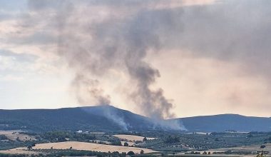 Φωτιά στην Τανάγρα – Στη «μάχη» εναέρια μέσα της Πυροσβεστικής