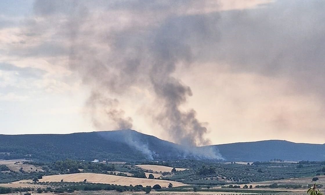 Φωτιά στην Τανάγρα – Στη «μάχη» εναέρια μέσα της Πυροσβεστικής