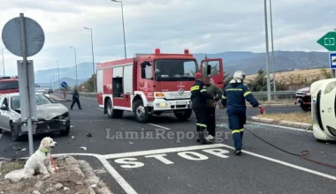 Θανατηφόρο τροχαίο στη Λαμία: Νεκρός 54χρονος – Το σκυλάκι του σώθηκε και περίμενε να τον δει να βγαίνει από το αυτοκίνητο 