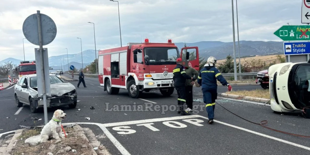 Θανατηφόρο τροχαίο στη Λαμία: Νεκρός 54χρονος – Το σκυλάκι του σώθηκε και περίμενε να τον δει να βγαίνει από το αυτοκίνητο 