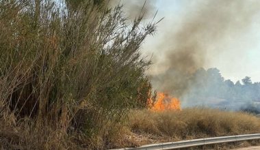 Φωτιά στο Καπανδρίτι Αττικής – Επιχειρεί ένα ελικόπτερο