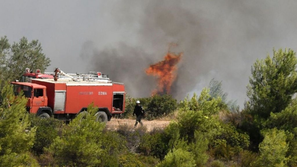 Σέρρες: Τέσσερις προσαγωγές για τη μεγάλη φωτιά στη Νέα Τυρολόη