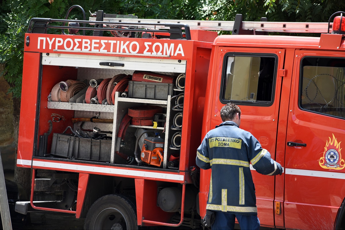 Βοιωτία: Φωτιά σε δασική έκταση στην περιοχή Αλίαρτος