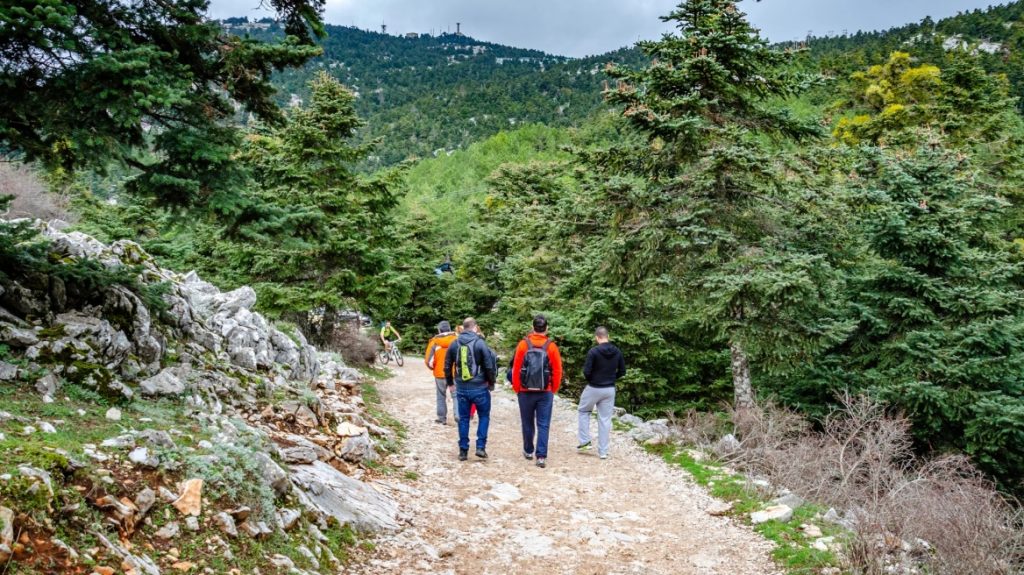 «Λήξη συναγερμού» για τους 3 πεζοπόρους που είχαν χαθεί στην Πάρνηθα