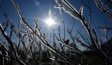 Καιρός: Παγετός και σήμερα στα βόρεια ηπειρωτικά – Μικρή άνοδος της θερμοκρασίας σε όλη την υπόλοιπη χώρα