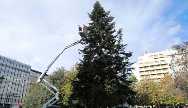 Αθήνα: Αύριο η εκδήλωση για τη φωταγώγηση του χριστουγεννιάτικου δέντρου στο Σύνταγμα