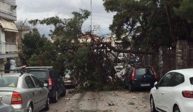 Θεσσαλονίκη: Πάνω από 300 οι πτώσεις δέντρων λόγω της κακοκαιρίας Bora