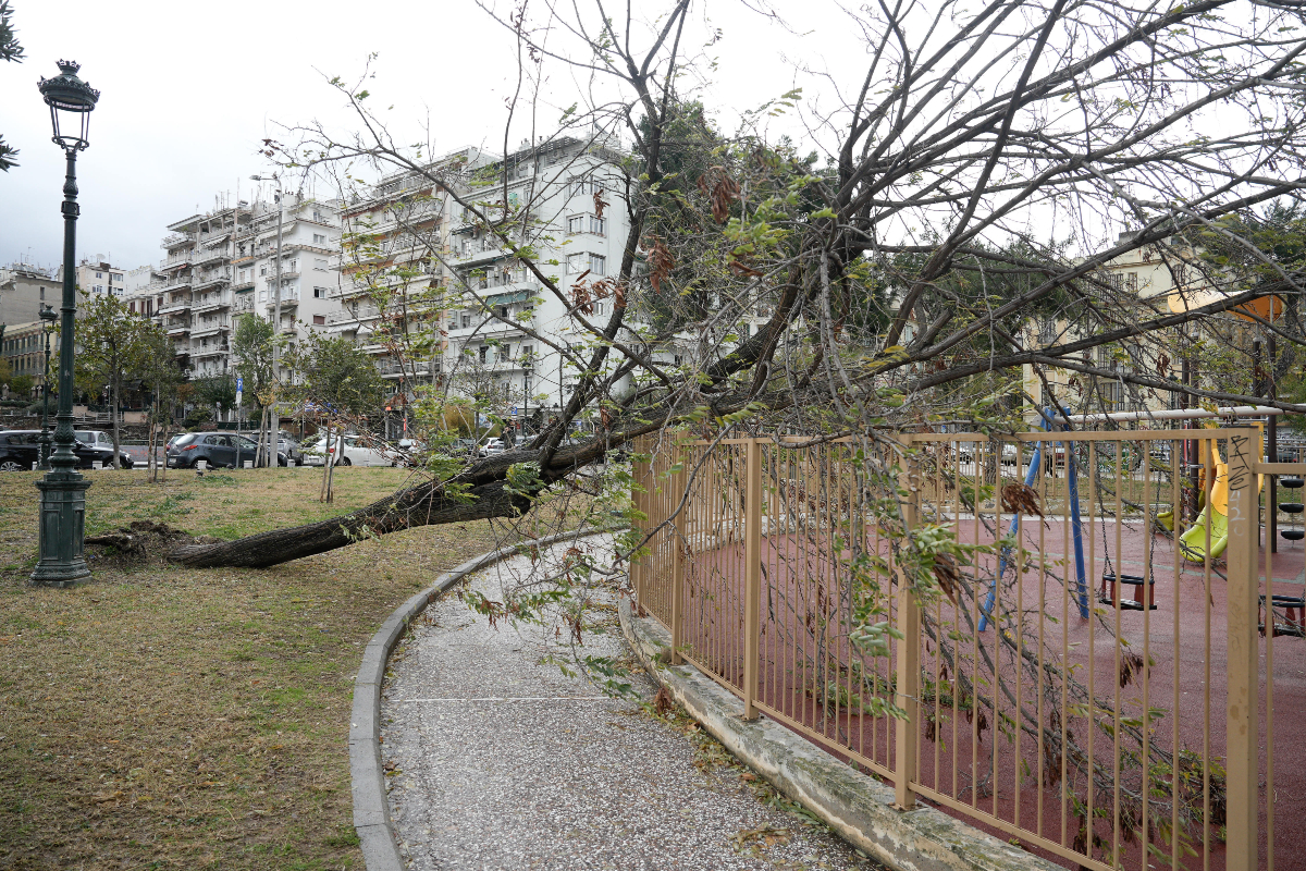 Κακοκαιρία «Bora»: Αναλυτικά οι περιοχές που θα μείνουν κλειστά τα σχολεία σήμερα 2 Δεκεμβρίου