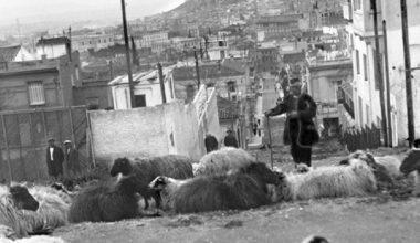 Εσύ το ήξερες; – Γιατί το Κολωνάκι παλιά λεγόταν «Kατσικάδικα»;