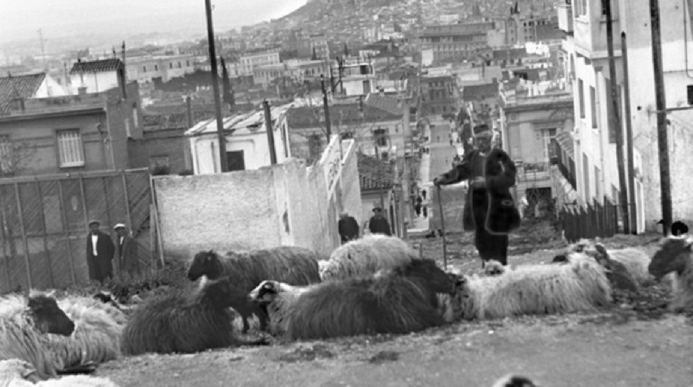 Εσύ το ήξερες; – Γιατί το Κολωνάκι παλιά λεγόταν «Kατσικάδικα»;