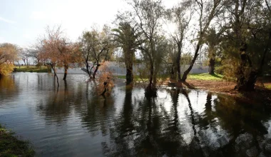 ΣΕΦ: Πλημμύρισε και ο χώρος γύρω από το γήπεδο του Ολυμπιακού – Δείτε φωτογραφίες 