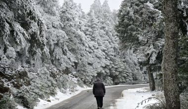 Κλειστή η Λεωφόρος Πάρνηθας: Ασθενής χιονόπτωση