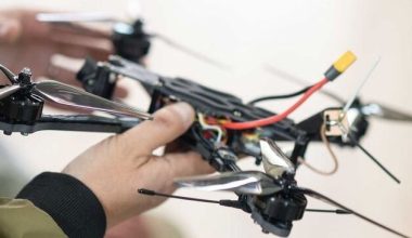 Γάτα «καταρρίπτει» drone στην Ουκρανία με το πόδι της (βίντεο)