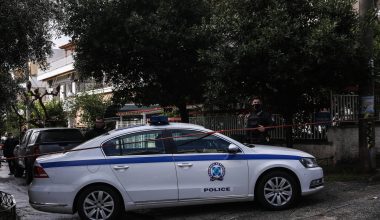 Θεσσαλονίκης: Συνελήφθη ασυνείδητος αλλοδαπός που χτύπησε σκόπιμα με το αυτοκίνητό του έναν σκύλο