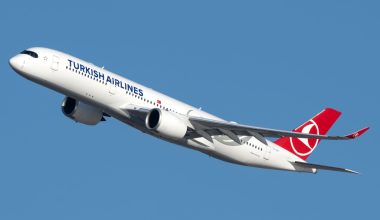 Turkish Airlines: Η αντίδραση της εταιρείας μετά τις καταγγελίες επιβατών για κοριούς στις πτήσεις τις