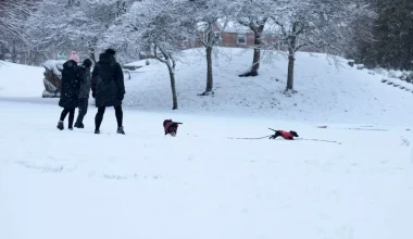 Βρετανία: Σφοδρές χιονοπτώσεις με σωρεία προβλημάτων στο οδικό δίκτυο και τα αεροδρόμια μεγάλων πόλεων (βίντεο)